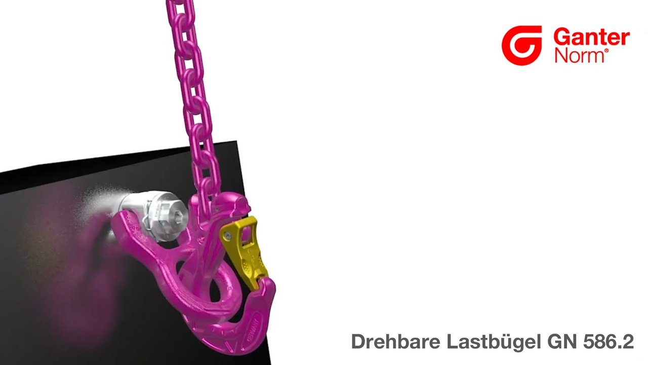 Drehbare Lastbügel GN 586.2