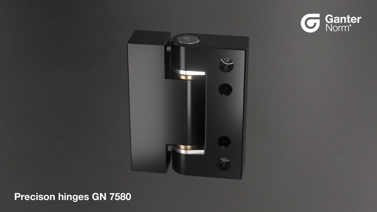 Charnières de précision GN 7580