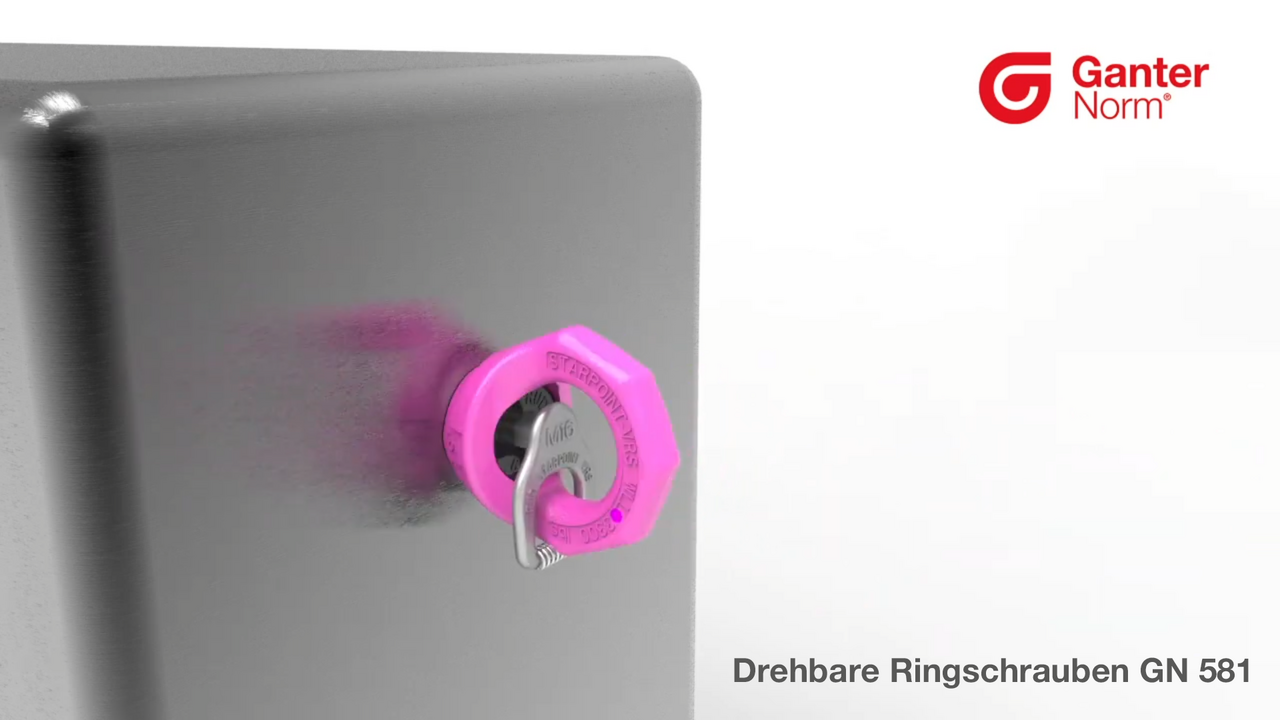 Drehbare Ringschrauben GN 581