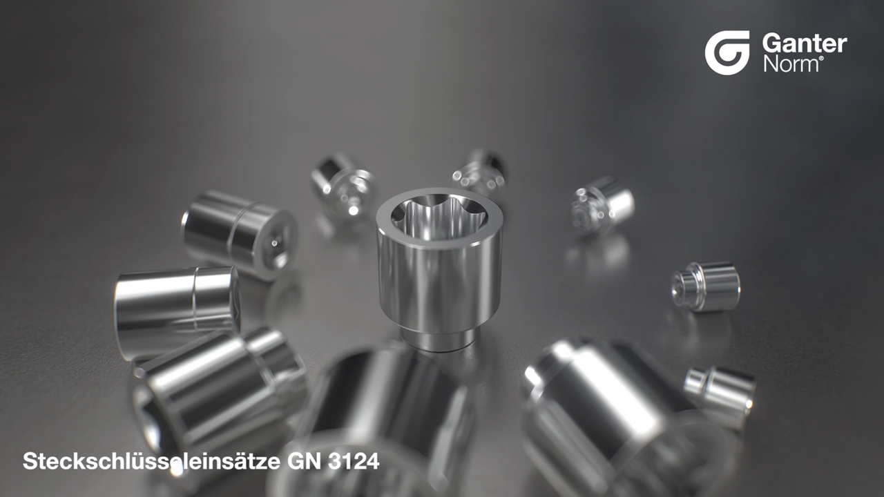 Steckschlüsseleinsätze GN 3124